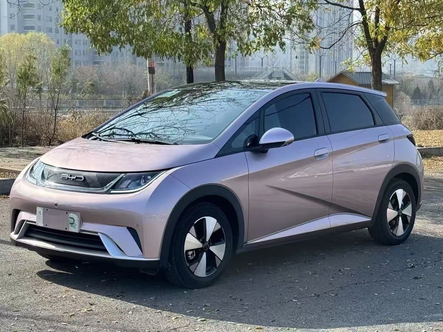 BYD Dolphin 2023 for export from China
