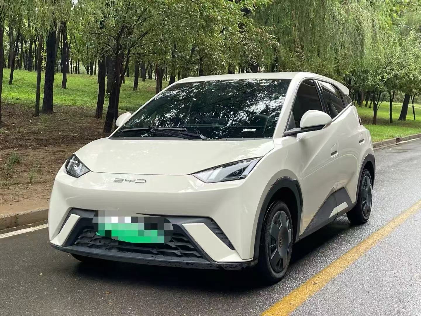 BYD Seagull 2024 for export from China